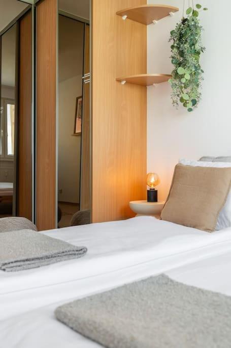Duna Retreat: City Serenity 布拉迪斯拉发 外观 照片